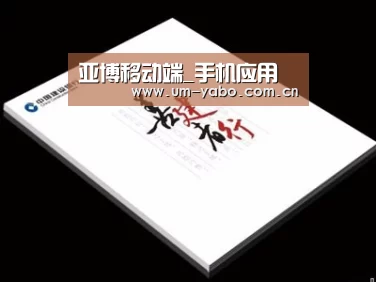 项目名称七