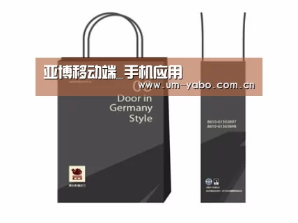 项目名称十四