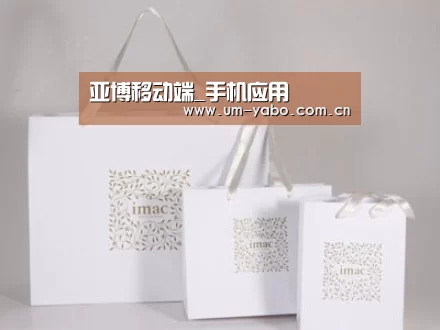 项目名称十一
