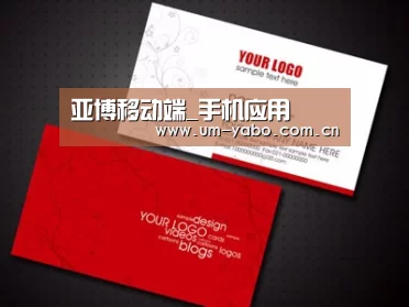 项目名称八