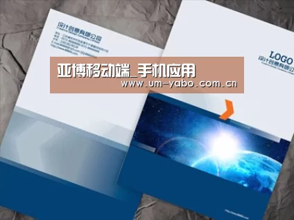 项目名称十