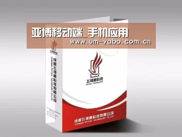 项目名称十三