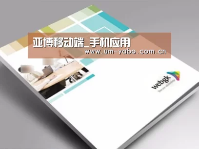 项目名称九