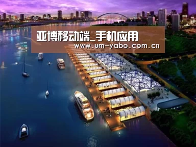 案例展示八
