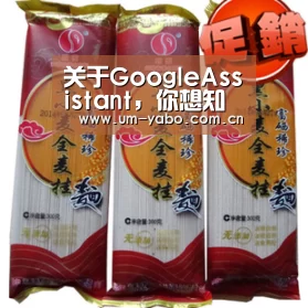 关于GoogleAssistant,你想知道的都在这里了丨GoogleI/O2017【亚博官网】(图2) 亚博