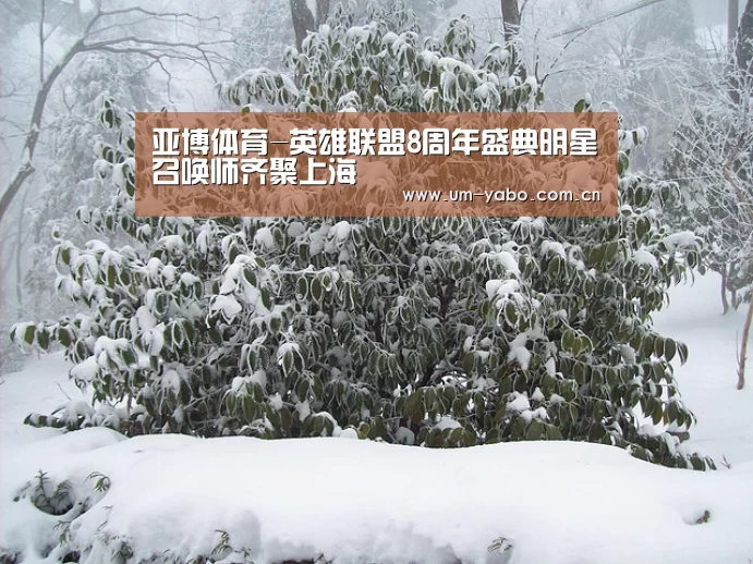 亚博体育-英雄联盟8周年盛典明星召唤师齐聚上海(图1) 亚博体育下载