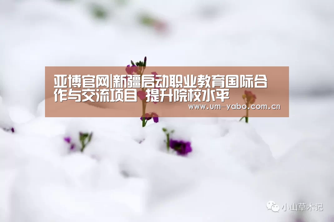 亚博体育下载