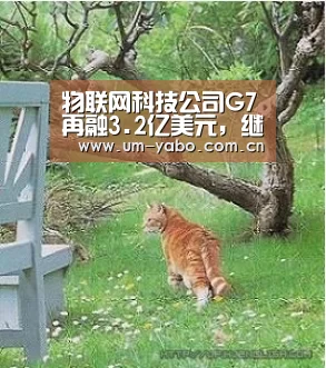 亚博官网